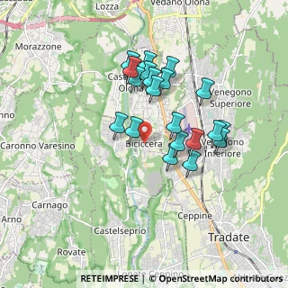 Mappa Via dei Platani, 21043 Castiglione Olona VA, Italia (1.5165)