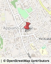 Via Fontanile, 2/A,22070Appiano Gentile