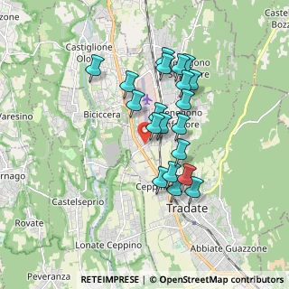 Mappa Via D. Chiesa, 21040 Venegono Inferiore VA, Italia (1.4945)
