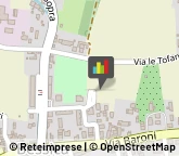 Estetiste,31037Treviso