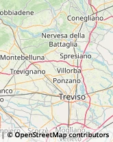 Agenzie di Animazione e Spettacolo Conegliano,31015Treviso