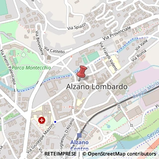 Mappa Via fantoni andrea 30, 24022 Alzano Lombardo, Bergamo (Lombardia)