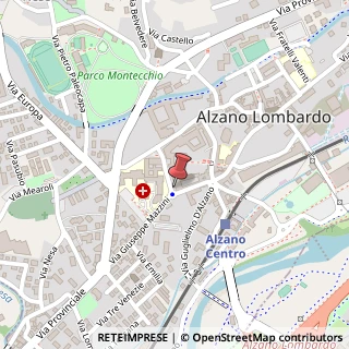 Mappa Via M. Zanchi, 45, 24022 Alzano Lombardo, Bergamo (Lombardia)
