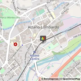 Autoveicoli Elettrici Alzano Lombardo,24022Bergamo