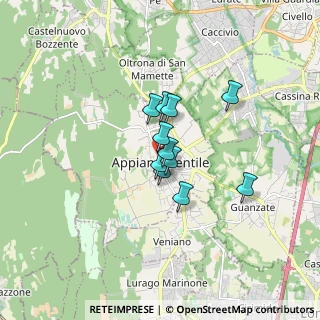 Mappa 22070 Appiano Gentile CO, Italia (1.01545)