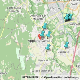 Mappa 22070 Appiano Gentile CO, Italia (2.43273)