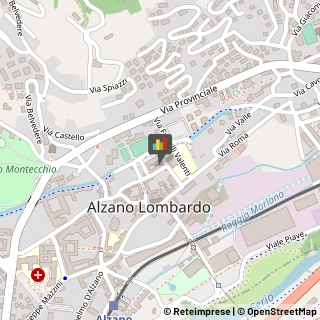 Commercialisti Alzano Lombardo,24022Bergamo