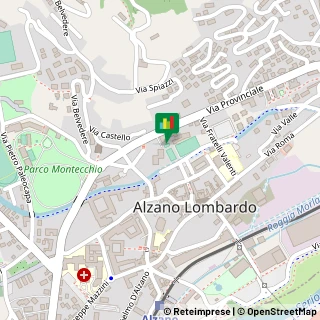 Mappa Via Provinciale, 172, 24022 Alzano Lombardo, Bergamo (Lombardia)