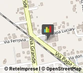 Abbigliamento,36022Vicenza