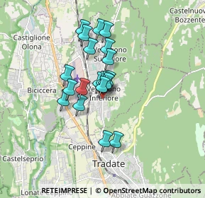 Mappa Via Alessandro Manzoni, 21040 Venegono Inferiore VA, Italia (1.241)