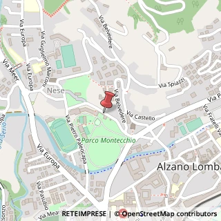 Mappa Via Paglia Giorgio, 11, 24022 Alzano Lombardo, Bergamo (Lombardia)