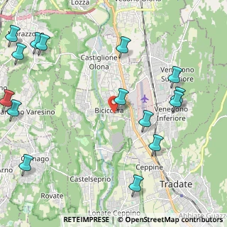 Mappa Via dei Tigli, 21043 Castiglione Olona VA, Italia (2.93667)