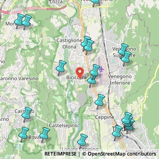 Mappa Via dei Tigli, 21043 Castiglione Olona VA, Italia (2.995)