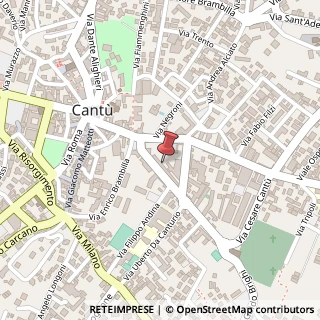 Mappa Viale Alla Madonna, 7, 22063 Cantù, Como (Lombardia)