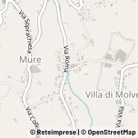 Kartta Molvena