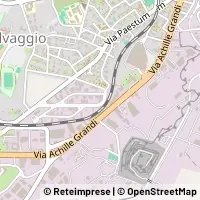 Peta Ragusa