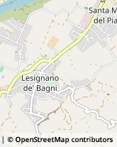 Aziende Agricole Lesignano de' Bagni,43037Parma