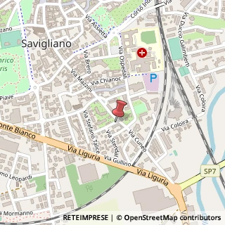 Mappa Via Fulvio Iannucci, 3, 12038 Savigliano, Cuneo (Piemonte)