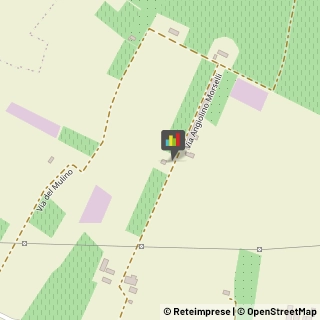 Conserve,42122Reggio nell'Emilia