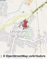 Piazza Luciano Silva, 2/2,43037Lesignano de' Bagni