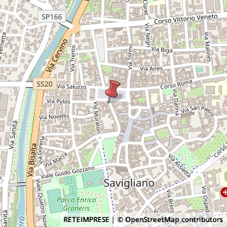 Mappa Via Palestro,  4, 12038 Savigliano, Cuneo (Piemonte)