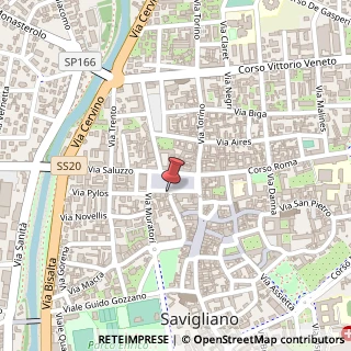 Mappa Via Palestro,  2, 12038 Savigliano, Cuneo (Piemonte)