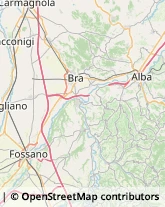 Recupero Crediti Alba,12051Cuneo