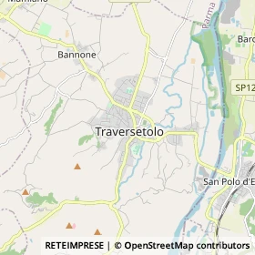 Mappa Traversetolo