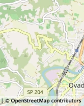 Via S. Paolo, 71,15076Ovada