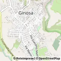 Kort Ginosa