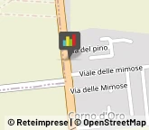 Trasporti Macchinari Eboli,84025Salerno
