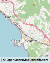 Locali, Birrerie e Pub Sestri Levante,16039Genova