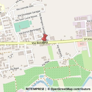 Mappa Via Bologna, 52, 48025 Riolo Terme, Ravenna (Emilia Romagna)