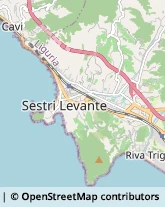 Ristoranti Sestri Levante,16039Genova