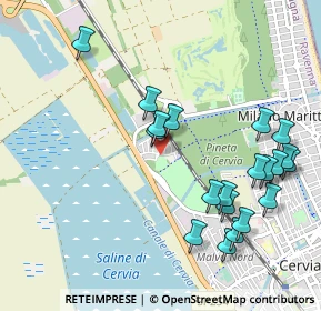 Mappa Viale Carlo Forlanini, 48015 Cervia RA, Italia (1.119)