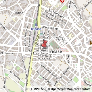 Mappa Via Brindisi, 1, 73039 Tricase, Lecce (Puglia)