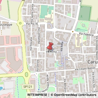 Mappa Via Roma, 12, 20061 Carugate, Milano (Lombardia)