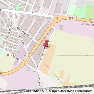 Mappa Via San Pio da Pietrelcina, 29, 25035 Ospitaletto, Brescia (Lombardia)