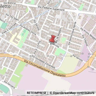 Mappa Via Don Pietro Patelli, 14, 25035 Ospitaletto, Brescia (Lombardia)