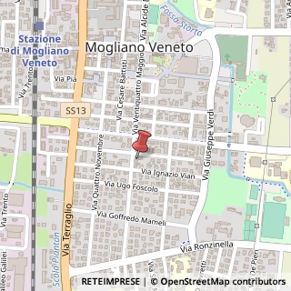 Mappa Via Ugo Trevisanato, 7, 31021 Mogliano Veneto, Treviso (Veneto)