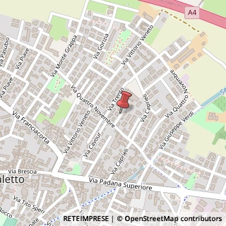 Mappa Via Trieste, 20, 25035 Ospitaletto, Brescia (Lombardia)