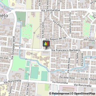 Caldaie a Gas Mogliano Veneto,31021Treviso