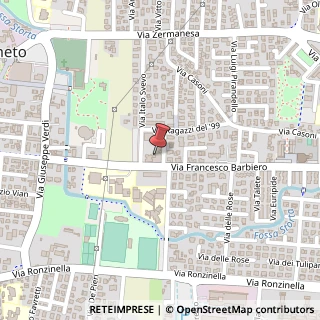 Mappa Via Italo Svevo, 47, 31021 Mogliano Veneto, Treviso (Veneto)