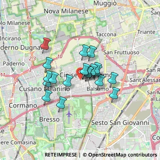 Mappa Via Giuseppe Garibaldi, 20092 Cinisello Balsamo MI, Italia (1.2535)