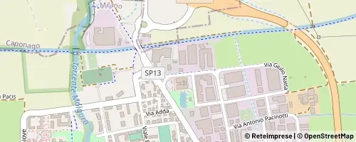 Mappa Pessano con Bornago
