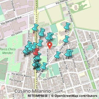 Mappa Via delle Camelie, 20095 Cusano Milanino MI, Italia (0.21148)