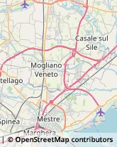 Trasportatori Meccanici Venezia,30176Venezia