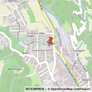 Mappa Via G. Pascoli, 22, 36072 Chiampo, Vicenza (Veneto)