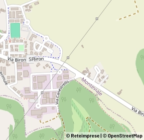 Mappa Strada Provinciale 36, 36050 Monteviale VI, Italia (0.20769)