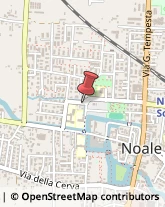 Via Francesco Petrarca, 6,30033Noale